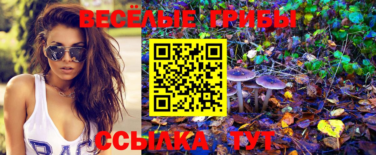 Псилоцибиновые грибы Magic Shrooms  Вход с VPN  Псилоцибиновые грибы MAGIC MUSHROOMS  Сарапул 